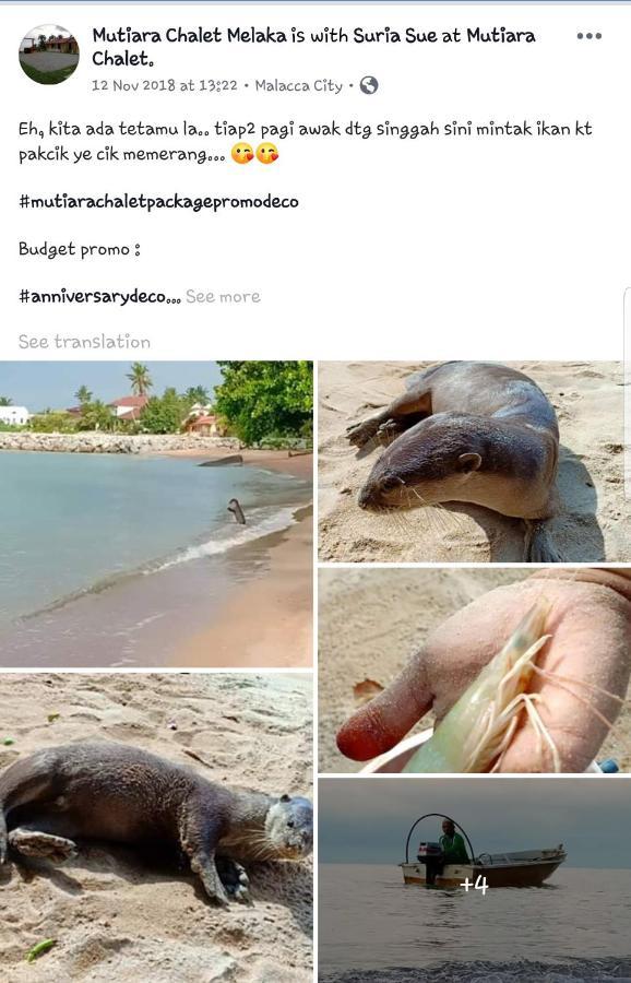 Mutiara Chalet Malacca Bagian luar foto